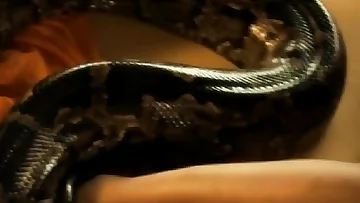 Rise Softcore Serpent Rise!